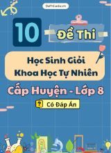 Tuyển tập 10 Đề thi HSG cấp Huyện môn KHTN 8 (Đầy đủ phân môn và Đáp án)